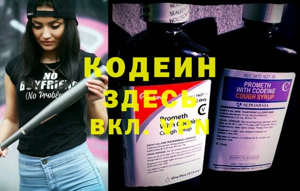 прущая мука Кодинск