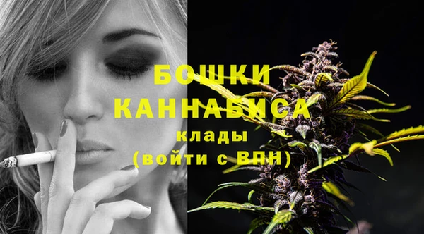 ПСИЛОЦИБИНОВЫЕ ГРИБЫ Корсаков