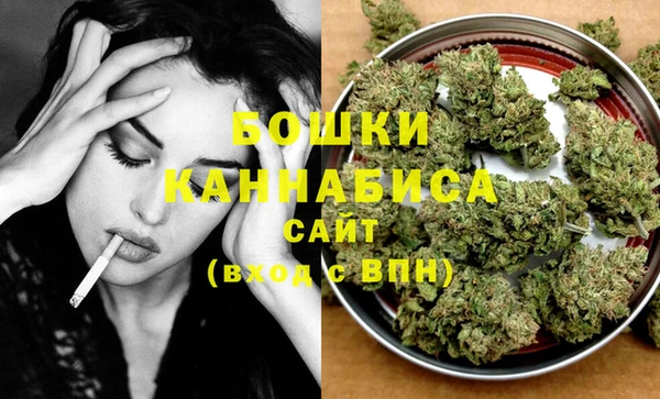 гидра Коряжма