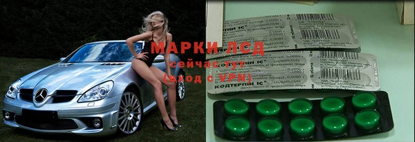 гидра Коряжма