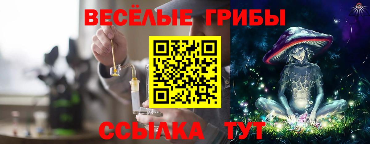 даркнет сайт  Псилоцибиновые грибы мицелий  Вход с VPN  Кумертау 